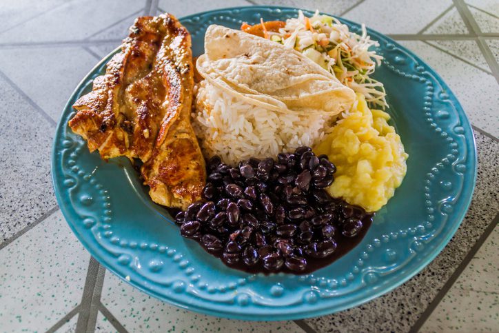 A vibrant blue plate displays a variety of dishes on a patterned table. The plate includes grilled chicken with a golden-brown glaze, a mound of white rice accompanied by a folded tortilla, a serving of black beans, fluffy yellow mashed potatoes, and a fresh coleslaw salad. The intricate design of the plate's border adds an elegant touch to the presentation