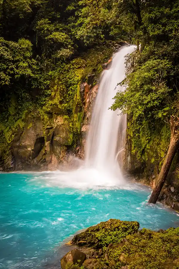 A majestic waterfall cascades into a serene turquoise pool, its waters a striking contrast against the rich, green foliage that drapes the surrounding rocks. The mist from the fall adds a softness to the scene, while the lush vegetation and moss-covered stones at the water's edge suggest an untouched, tranquil corner of nature.
