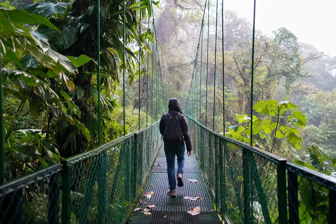A person in a black jacket walks away from the camera on a narrow suspension bridge, surrounded by the lush greenery and mist of a cloud forest in Costa Rica. The dense foliage on either side and the misty background convey a sense of adventure and exploration in this serene natural landscape.