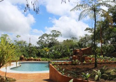 A tropical garden with a swimming pool surrounded by lush vegetation and several raised plant beds under a clear blue sky.