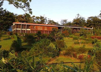 Modern wooden building surrounded by lush greenery in a tropical landscape, lit by soft evening sunlight.